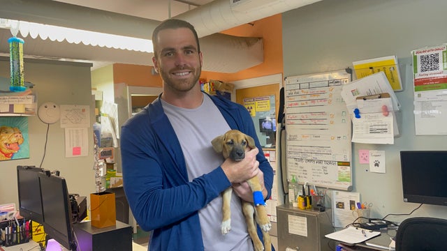 Miami Dolphins player chooses Austin Pets Alive! for charity campaign