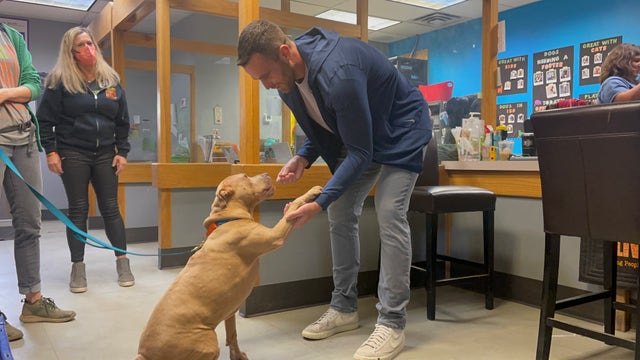 Miami Dolphins player matching donations to Austin Pets Alive! this weekend