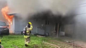 Firefighters rescue 6 dogs from structure fire in Bastrop County