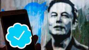 Musk asks Twitter users to decide if he should remain head of Twitter