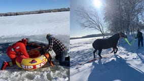 Bystanders save horse that fell through ice: ‘It’s just what you do’