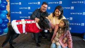 Puppy abandoned at San Francisco airport finds forever home with airline pilot