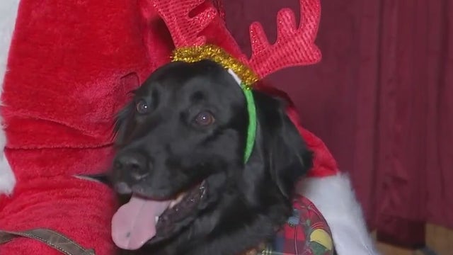 Photogenic pups help raise money for San Marcos Regional Animal Shelter