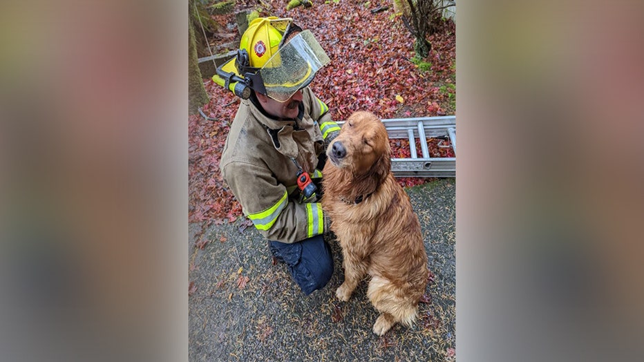 Firefighters-rescue-dog-from-well-in-Oregon-III.jpg