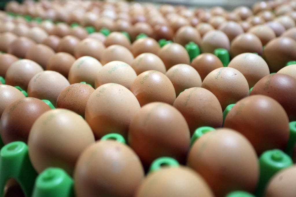 Texas food banks to receive 2 million eggs following pandemic lawsuit over price gouging