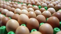 Texas food banks to receive 2 million eggs following pandemic lawsuit over price gouging
