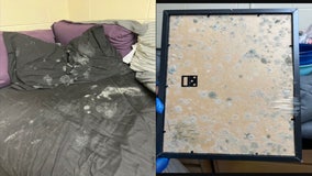Students at Bethune-Cookman University upset over mold, other unsafe school conditions