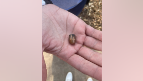 North Austin mother finds bullet feet from where her son sleeps