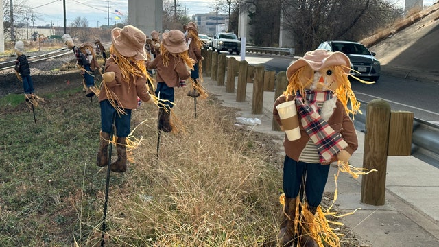 Strange sight: Over a dozen scarecrows found on side of North Austin road