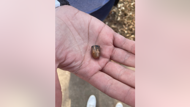 North Austin mother finds bullet feet from where her son sleeps