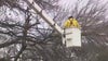 Texas ice storm: More crews join Austin Energy effort to restore power