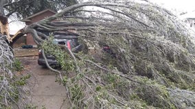 WilCo residents begin to clean up following Central Texas winter storm