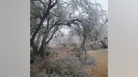 Texas winter weather photos: Ice accumulation causing issues