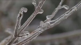 Texas ice storm: Governor expands disaster relief for additional counties