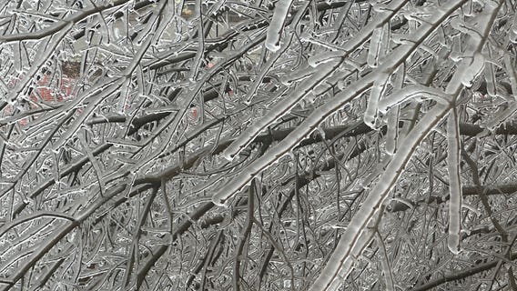 Texas ice storm: Gov. Abbott issues disaster declaration for impacted counties