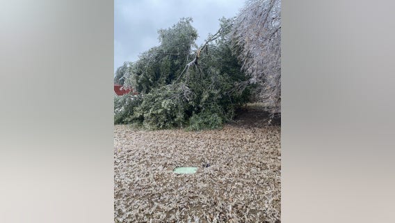 Central Texas weather: Downed trees, power lines leaves thousands without power