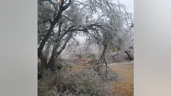 Texas winter weather photos: Ice accumulation causing issues