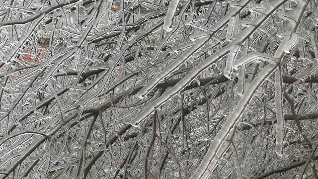Texas ice storm: Gov. Abbott issues disaster declaration for impacted counties