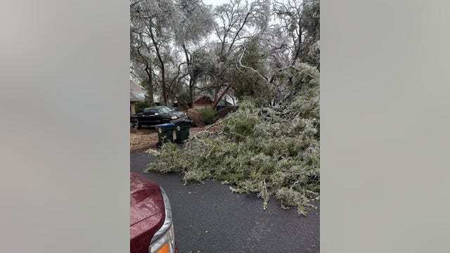 Contract crews join City of Austin to help pick up trash, debris