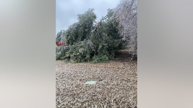 Central Texas weather: Downed trees, power lines leaves thousands without power