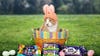 This year’s Cadbury Easter ‘bunny’ is a one-eyed rescue cat named Crash
