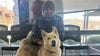 Dog reunited with owner 2,000 miles away thanks to microchip