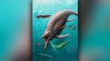 Oldest sea reptile remains from 2 million years ago found on Arctic island
