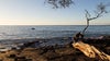 Man survives shark attack off Hawaii’s Big Island, officials say