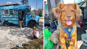 Meth and puppies found inside ice cream truck in Louisiana, police say