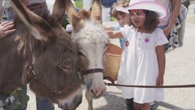 Rodeo Austin nurturing the next generation while entertaining the community