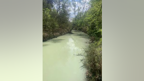 Body found in Shoal Creek, police investigating