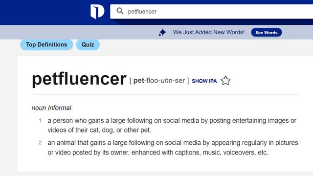'Cakeism,' 'Petfluencer’: See the 300 new words added to Dictionary.com