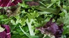 FDA warns not to eat these salads after lettuce recalled for listeria concerns