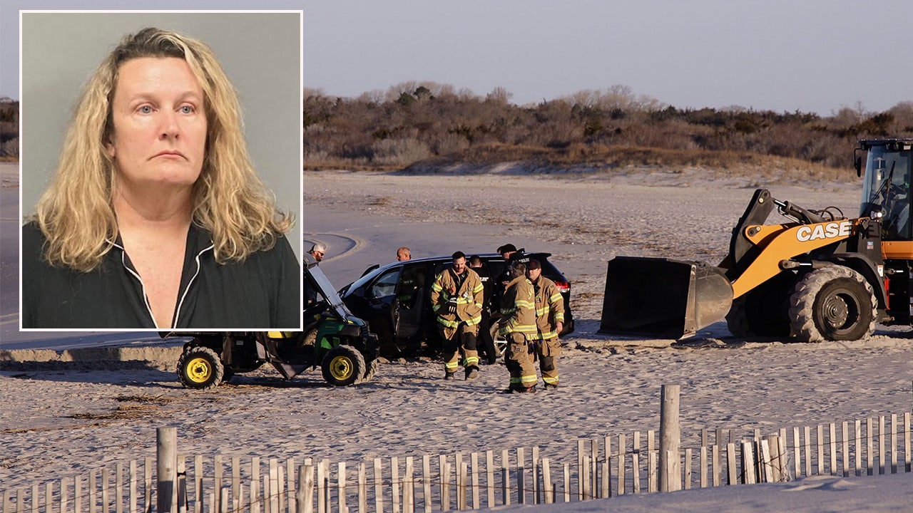 Pennsylvania mom strangled son to death because of financial problems, documents say - Vimarsana News