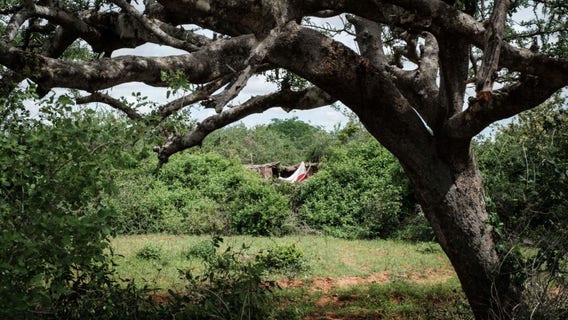 Kenya cult deaths: 39 bodies found amid investigation into pastor