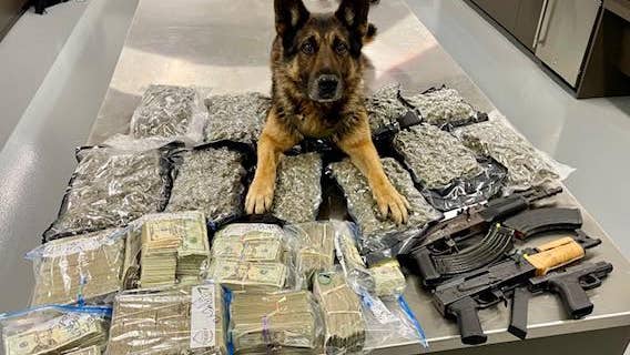 3 arrested in New Braunfels after vehicle searches uncover drugs, cash, firearms: police