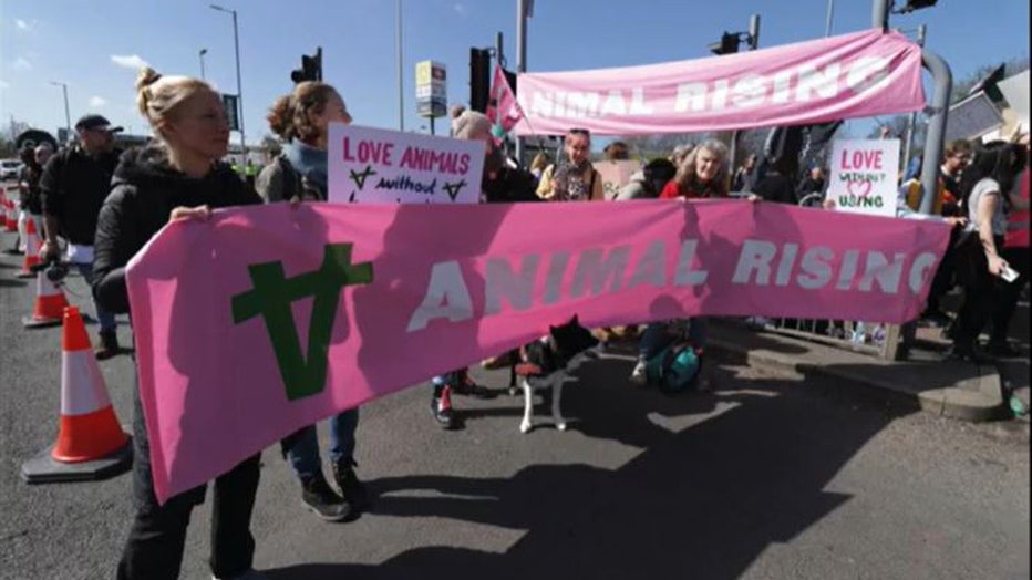 Animal-activists-hold-protest-II.jpg