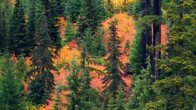 Swastika Mountain in Oregon renamed Mount Halo as tribute to tribal leader