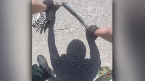 Watch: Florida deputies help hawk 'snake' his way out of deadly situation