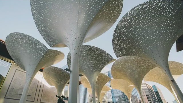 Things to do in Austin this weekend: August 11 to 13