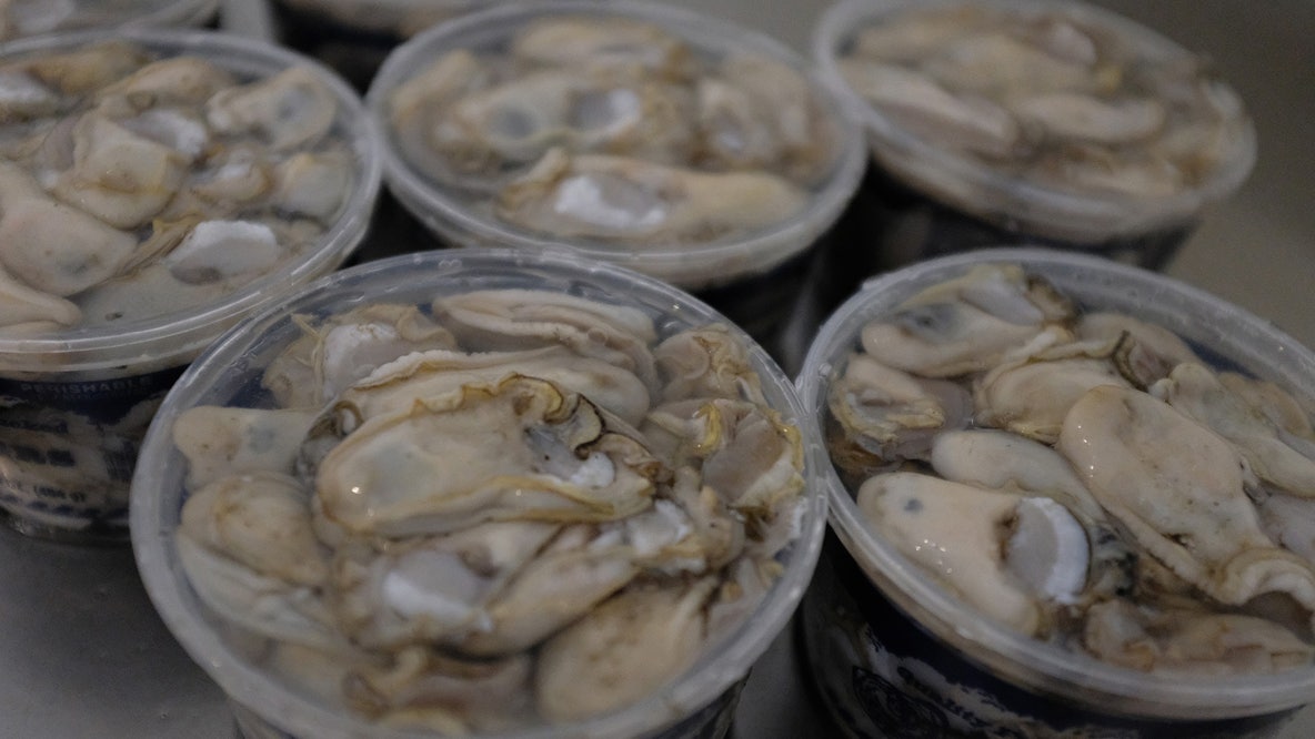 Texas Oyster Season 2026: TPWD opens 10 coastal harvesting areas on Nov. 2