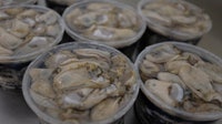 Texas Oyster Season 2026: TPWD opens 10 coastal harvesting areas on Nov. 2