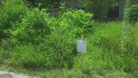 Austin resident says 'notice of violation' over front yard plants is unfair, contradictory