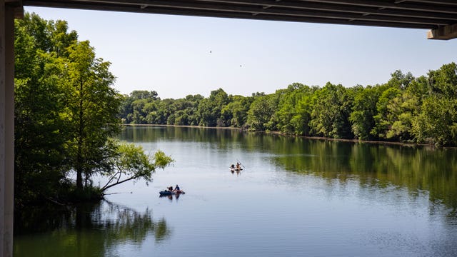 Toxic algae returns to Austin as summer temperatures heat up