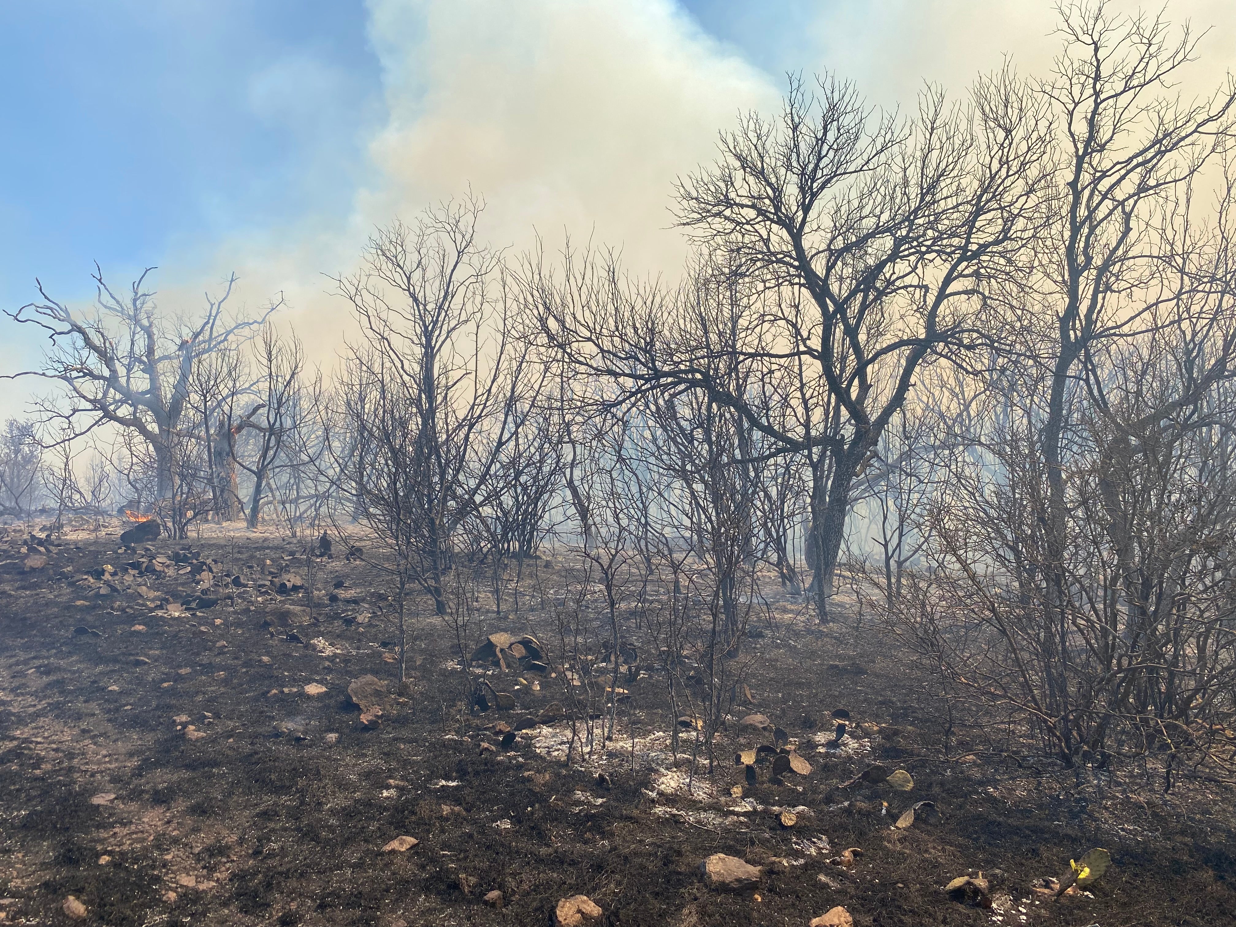 Texas landowners can claim up to $80,000 in state initiative