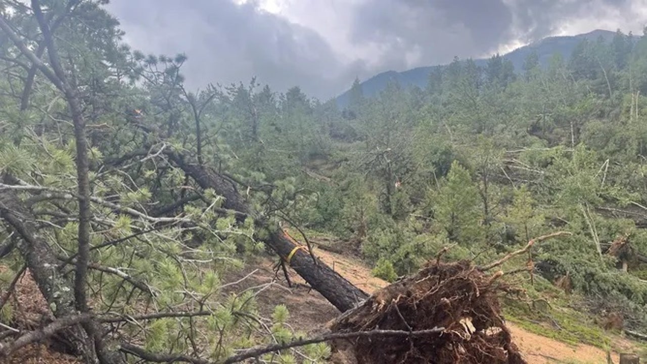 Damage from rare mountain tornado found near Colorado's Pike Peak at 9,500 feet - Vimarsana News
