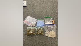 Houston man found traveling in Fayette County with pills, mushrooms, marijuana