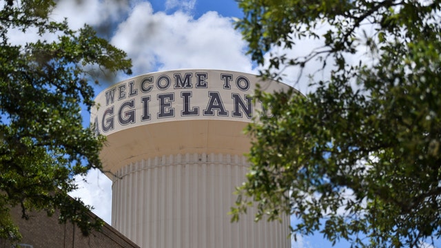 Former state Sen. Tommy Williams named interim Texas A&M president