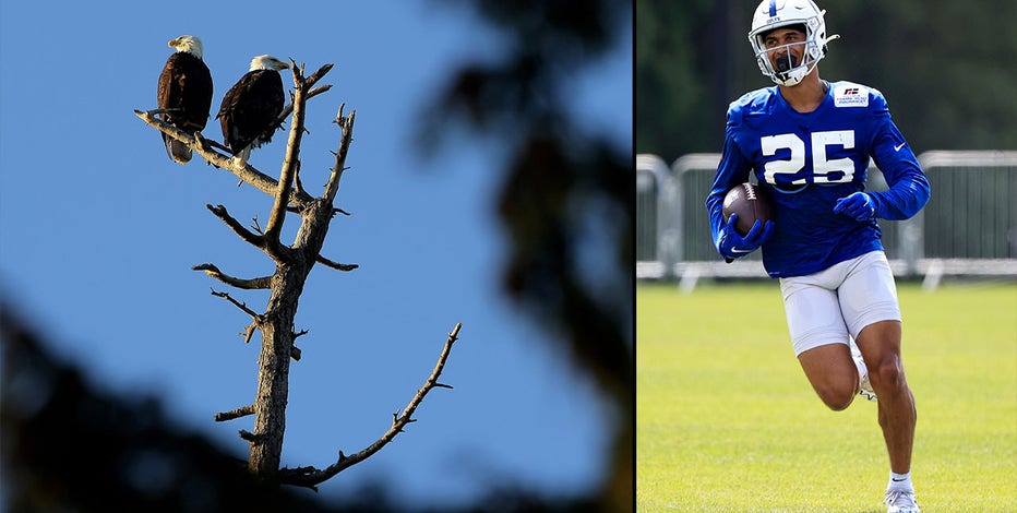 Father of Colts safety Rodney Thomas II 'allegedly shot a bald eagle'