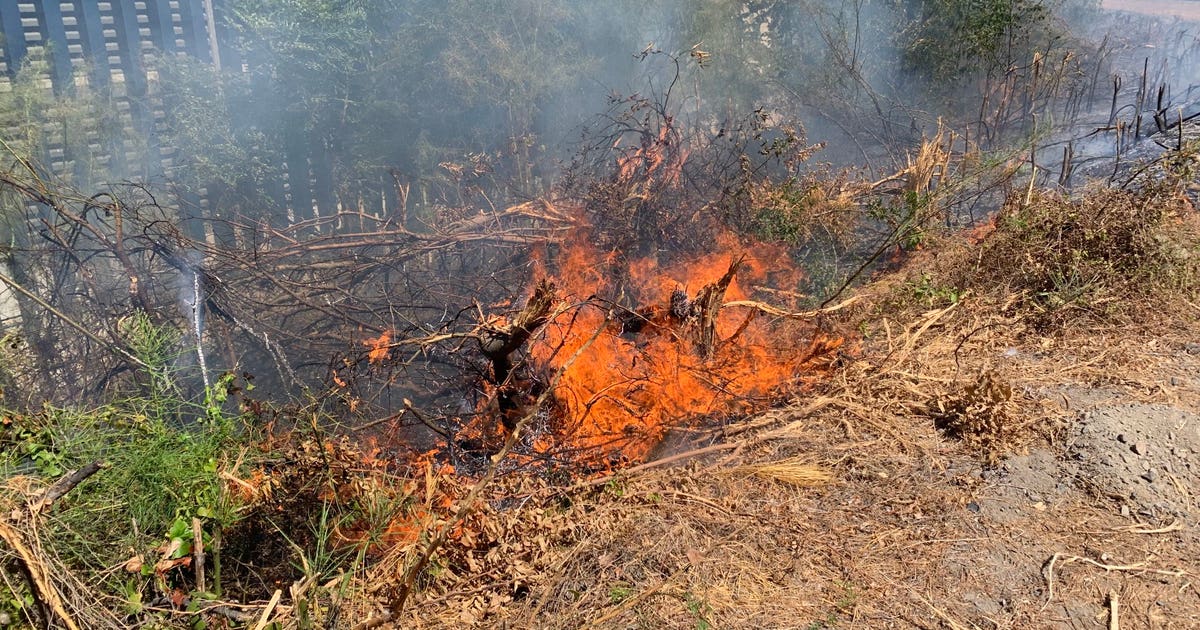 AFD responding to brush fire in downtown Austin | FOX 7 Austin